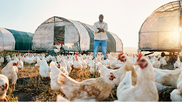 Un hombre negro, sonriente, calvo, con una camisa beige y pantalones de mezclilla azules, de pie en medio de un campo con criaderos de gallinas al fondo y varias gallinas esparcidas a su alrededor.